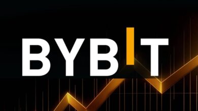 Bybit Exchange KYC Process: Individual Identity Verification