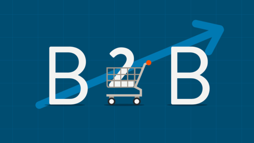 Challenges in B2B Ecommerce Marketplaces